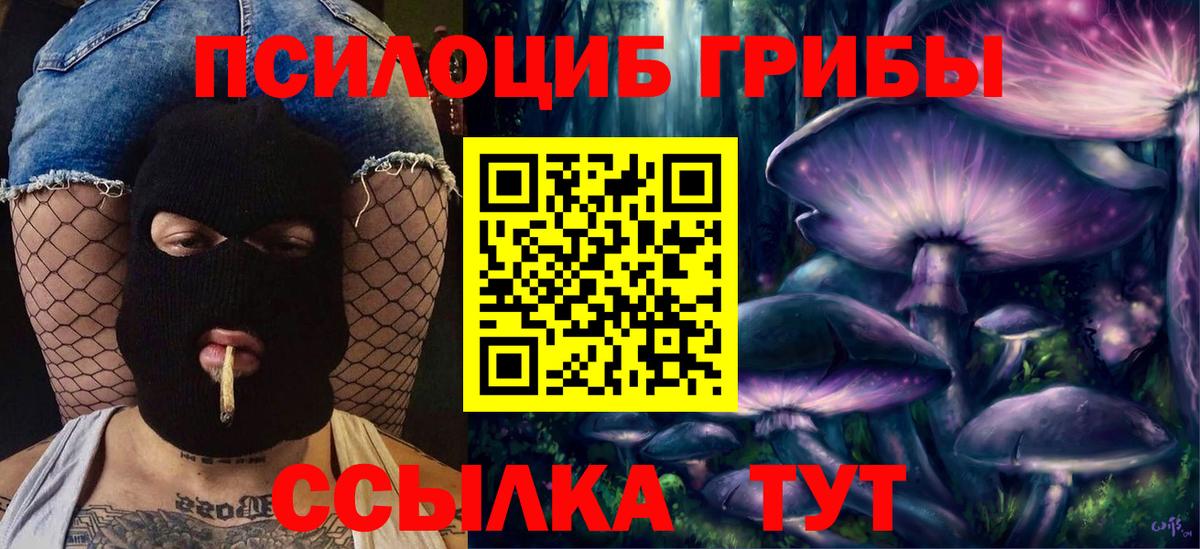 Бор  Галлюциногенные грибы прущие грибы  Вход с VPN 
